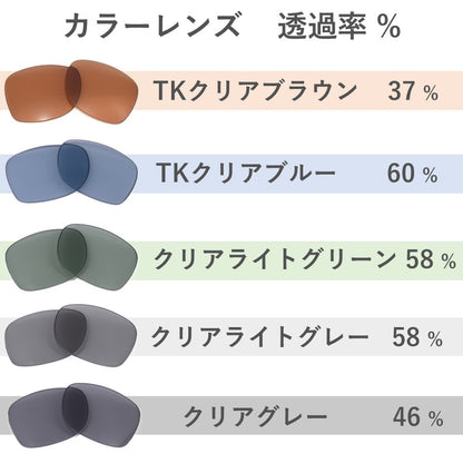 ERIKA RB4171F 54mm レイバン サングラス エリカ 用 交換レンズ 替えレンズ
